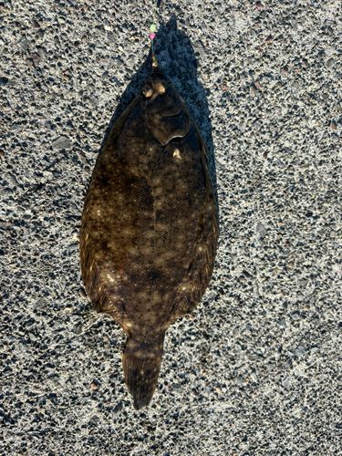 渡波港白灯防波堤