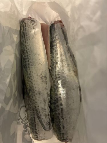 忠岡木材コンビナート