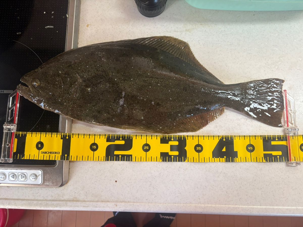 A.makoさんの釣果 2枚目の画像