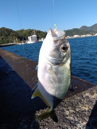 下田港（伊豆半島）