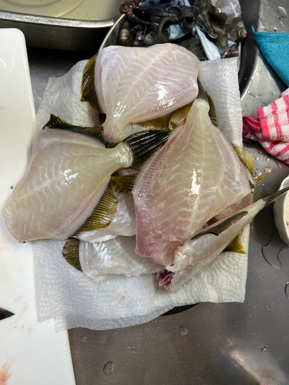 LOST MANさんの釣果 2枚目の画像