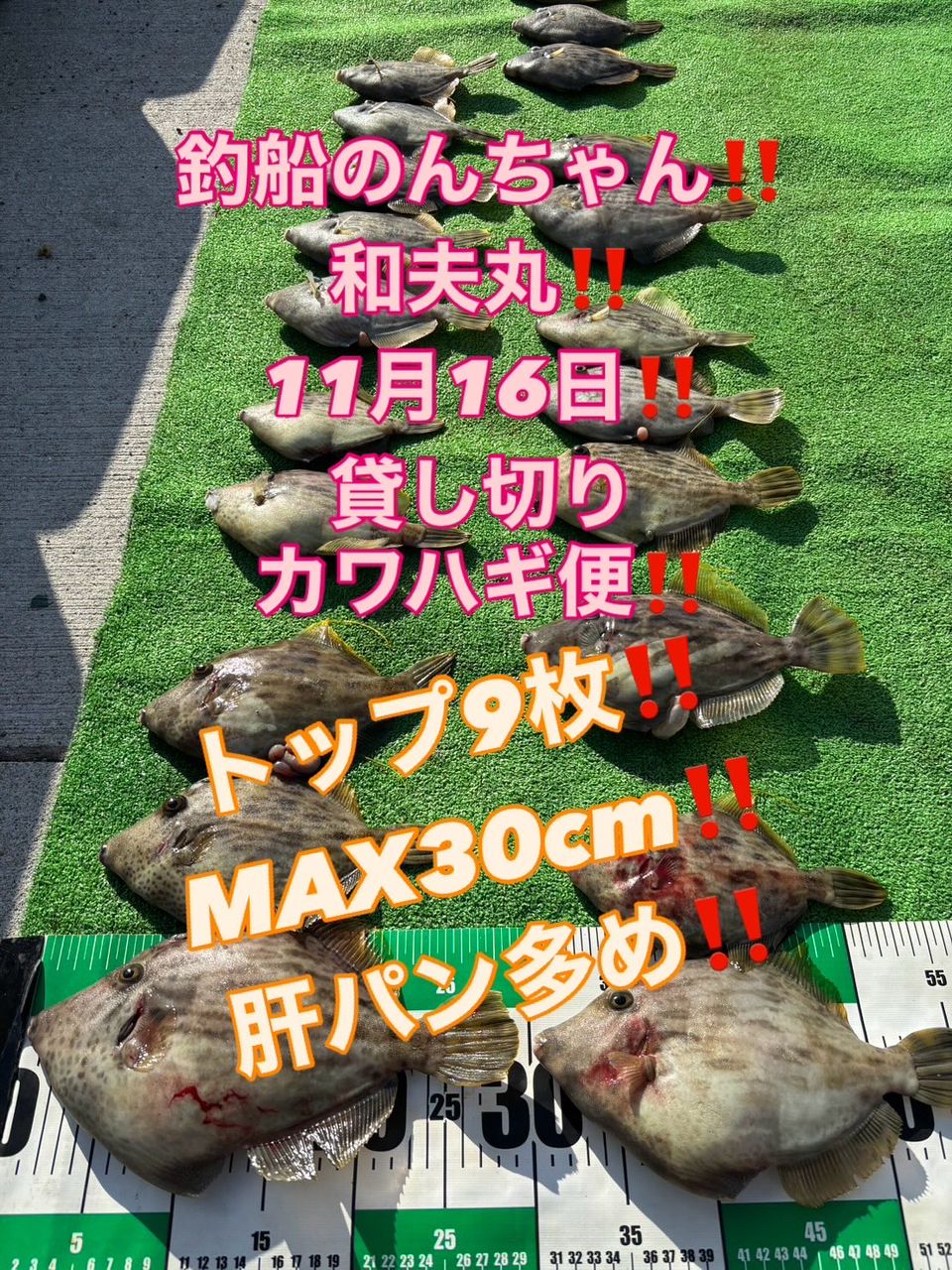 釣船のんちゃんさんの釣果 1枚目の画像