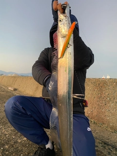 タチウオの釣果