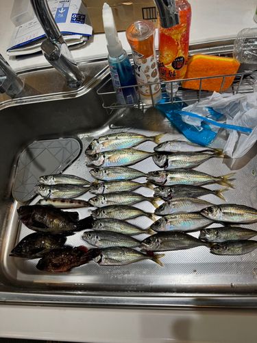 小名浜港アクアマリンふくしま周辺