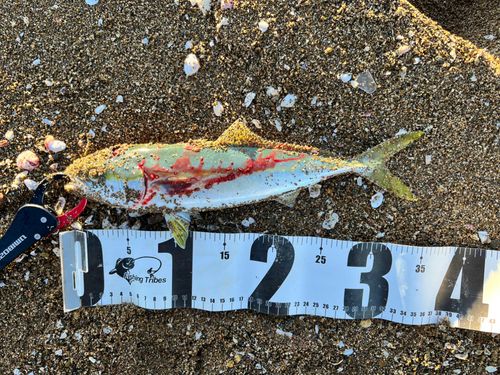 塩屋海岸（石川）