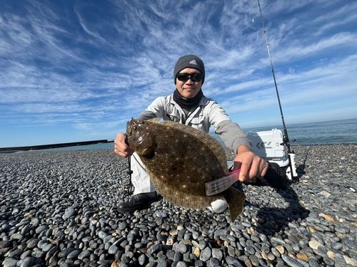 ヒラメの釣果
