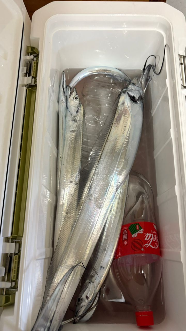 DAIWA 23リーディング LG 73 H-190の最安値・インプレ・釣果 | 本音の