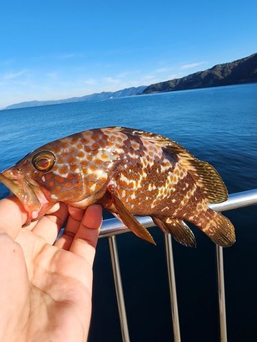 鞠山海遊パーク