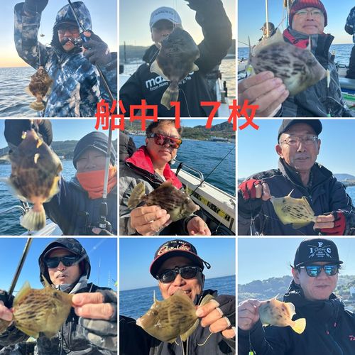 カワハギの釣果