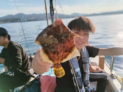 カワハギの釣果