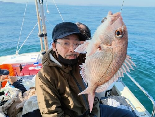 マダイの釣果