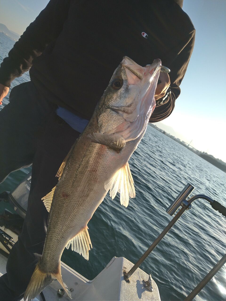 ガキリュウさんの釣果 2枚目の画像