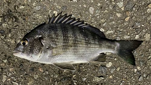 大野川（石川）