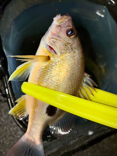 西原・与那原マリンパーク