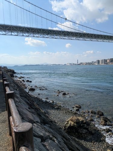 クサフグの釣果