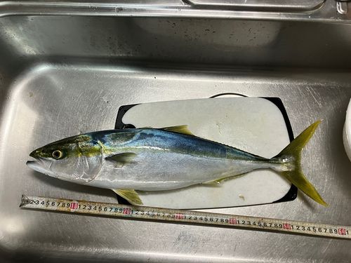 釜谷浜海水浴場