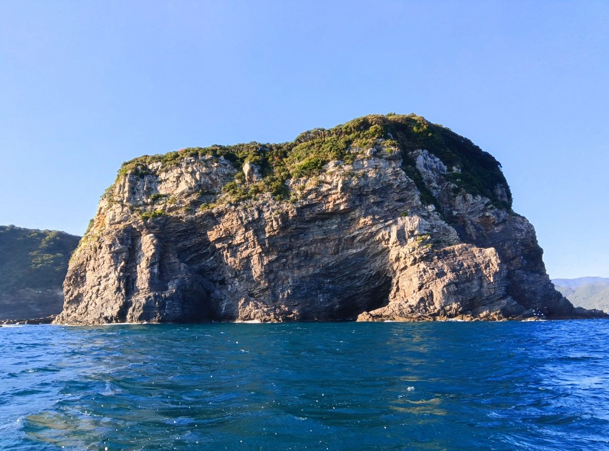 白鹿さん🦌@ 鹿児島さんの釣果 3枚目の画像