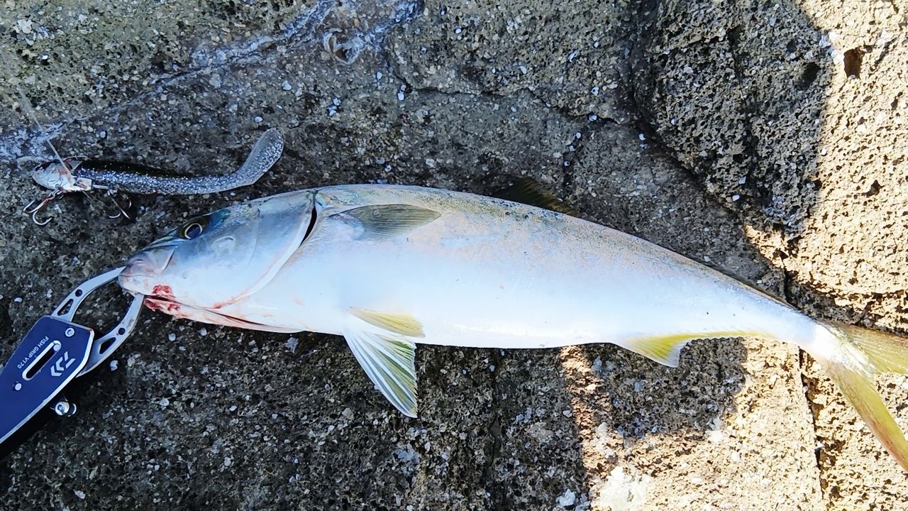 DAIWA 21オーバーゼア AGS 97Mの最安値・インプレ・釣果 | 本音の