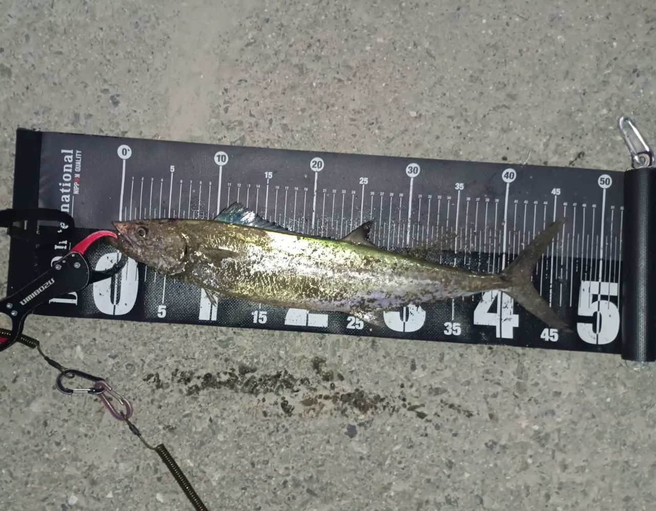 SHIMANO 17エクスセンス ∞ (インフィニティ) S906ML/RFの最安値