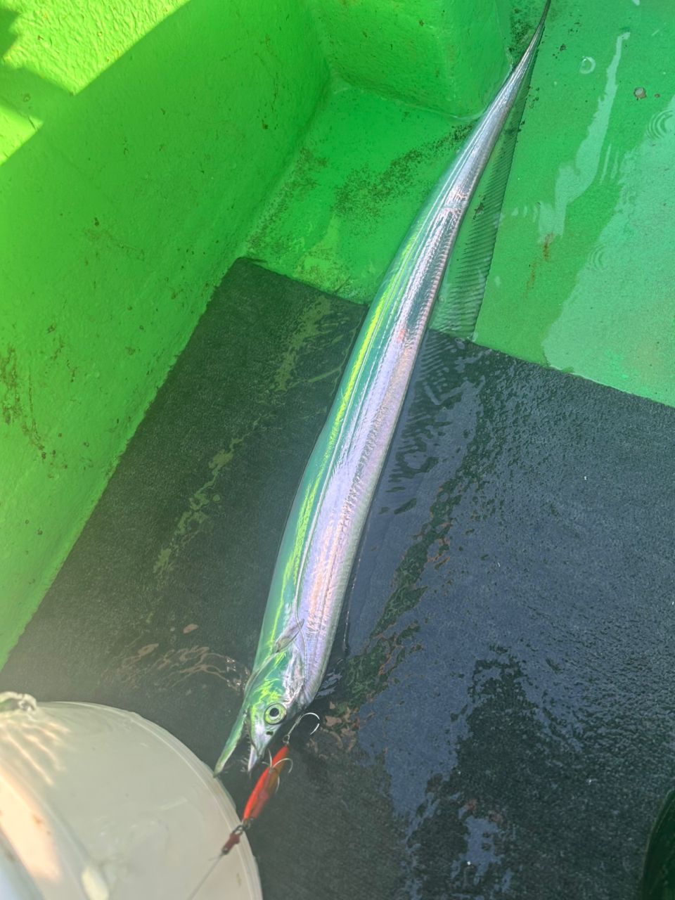 OJ0702さんの釣果 3枚目の画像