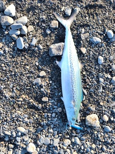 大浜海岸（静岡）