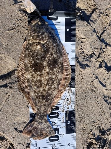 三陸海岸（宮城）