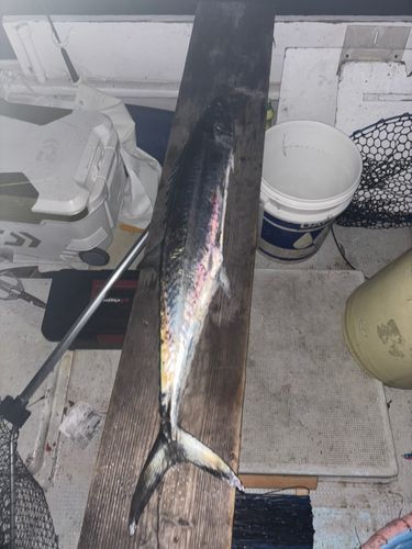 長浜新港（伊予）