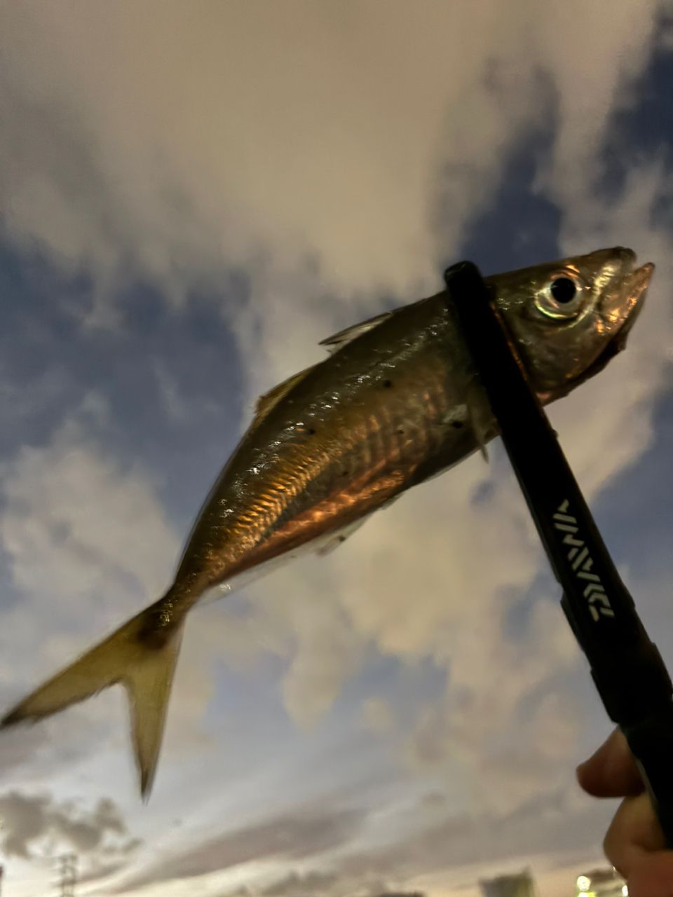 TENRYU ルナキア LK582S-LSの最安値・インプレ・釣果 | 本音の口コミが