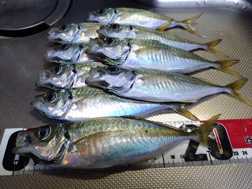 小名浜港アクアマリンふくしま周辺