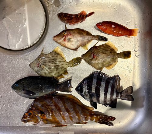 脇田海釣り桟橋