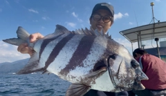 イシダイの釣果