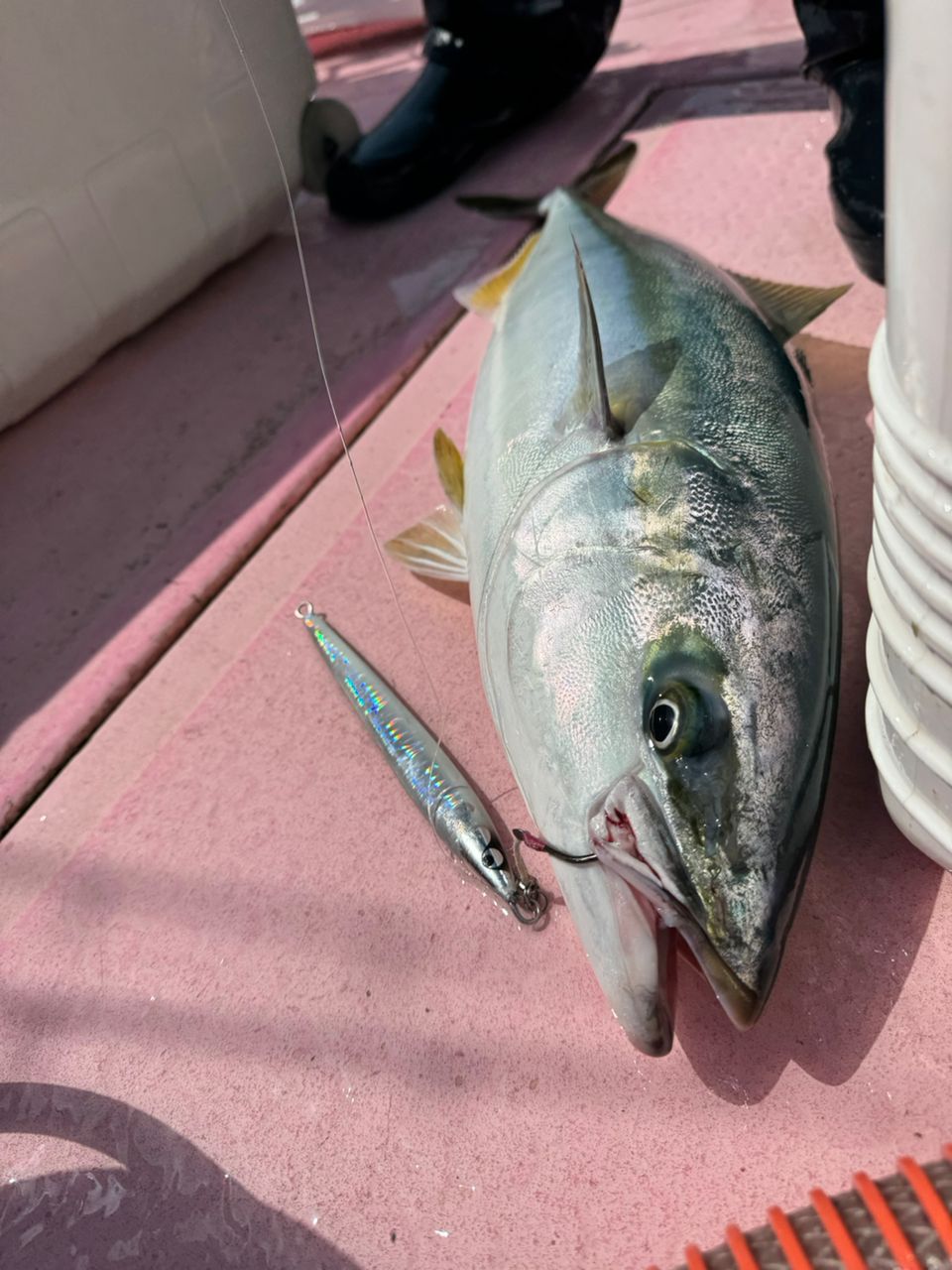 SHIMANO 23オシアジガー リミテッド (スピニング) S62-4の最安値