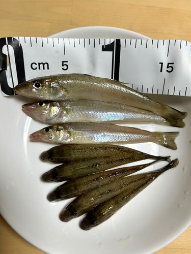 新舞子マリンパーク