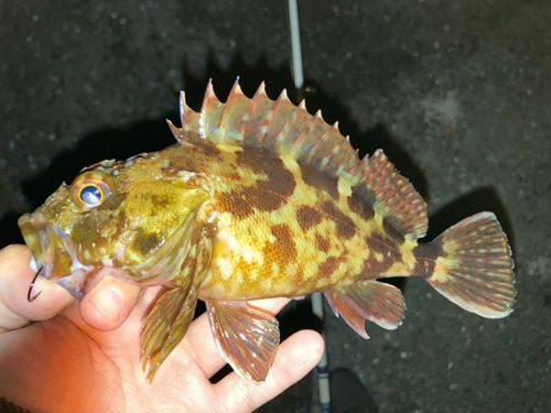 東京湾（アクアライン〜富津）