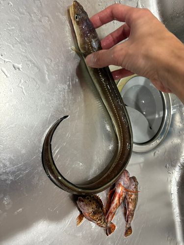 金沢水際線緑地（福浦岸壁）