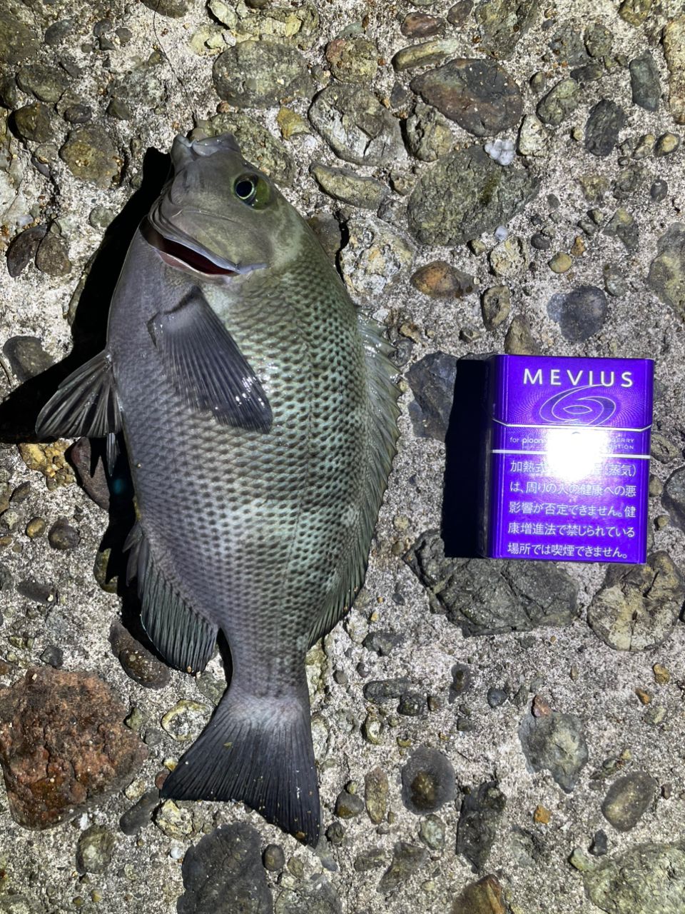 美品 SHIMANO シマノ サーフチェイサー 425DX-T 投げ釣り竿 SHIMANO シマノ サーフチェイサー 425DX-T 投げ釣り竿 シマノ