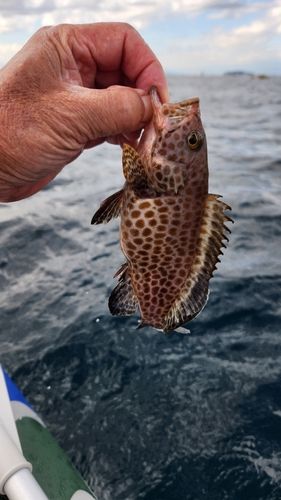 葉山釣り具センター付近