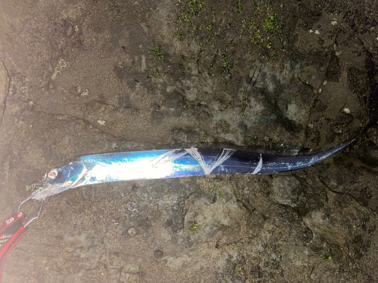 DAIWA 21オーバーゼア グランデ（サーフモデル） 103Mの最安値