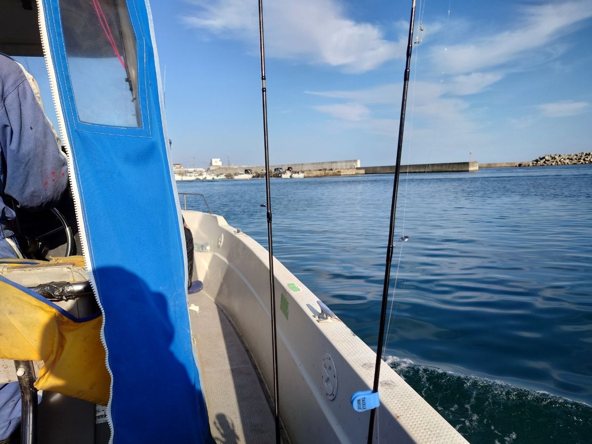 アジンガーWRXさんの釣果 2枚目の画像