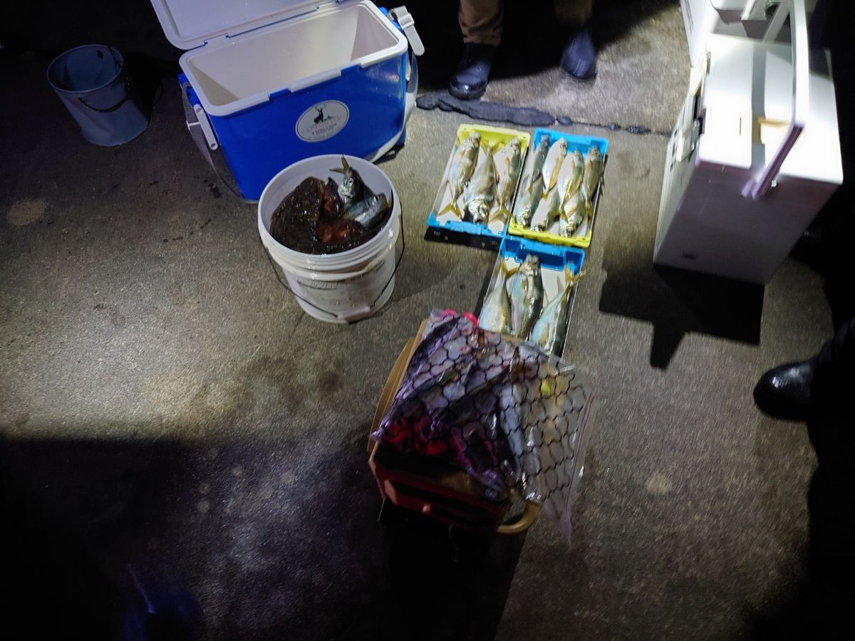 アジンガーWRXさんの釣果 3枚目の画像