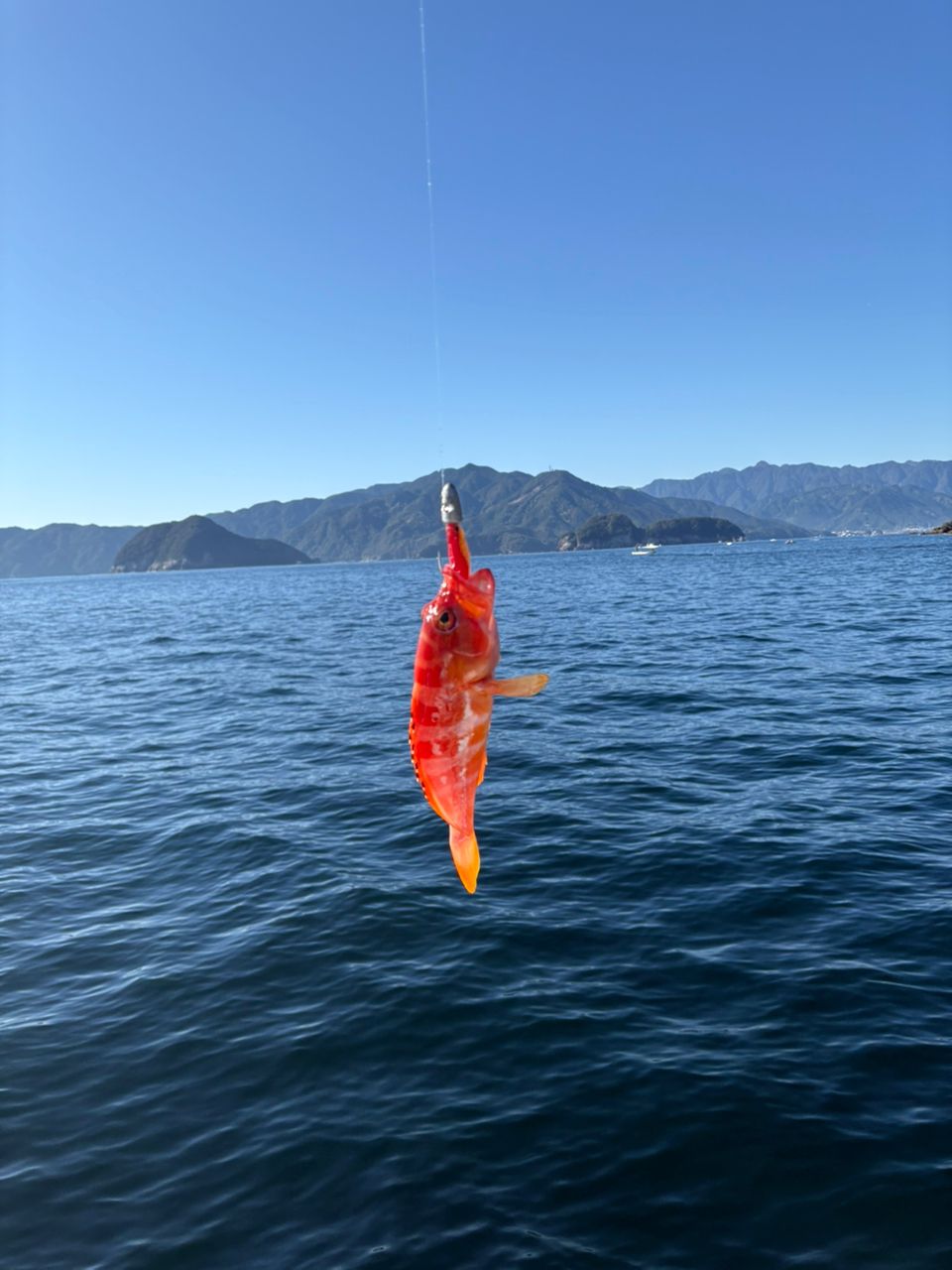 伊藤ヘッドさんの釣果 2枚目の画像