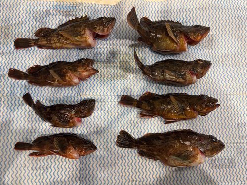 大黒海づり施設