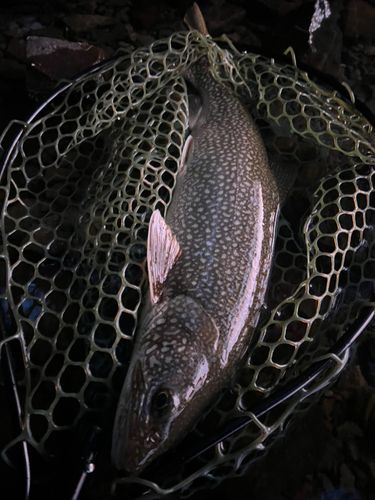 金谷ボートハウス跡地前