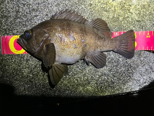 三陸海岸（宮城）