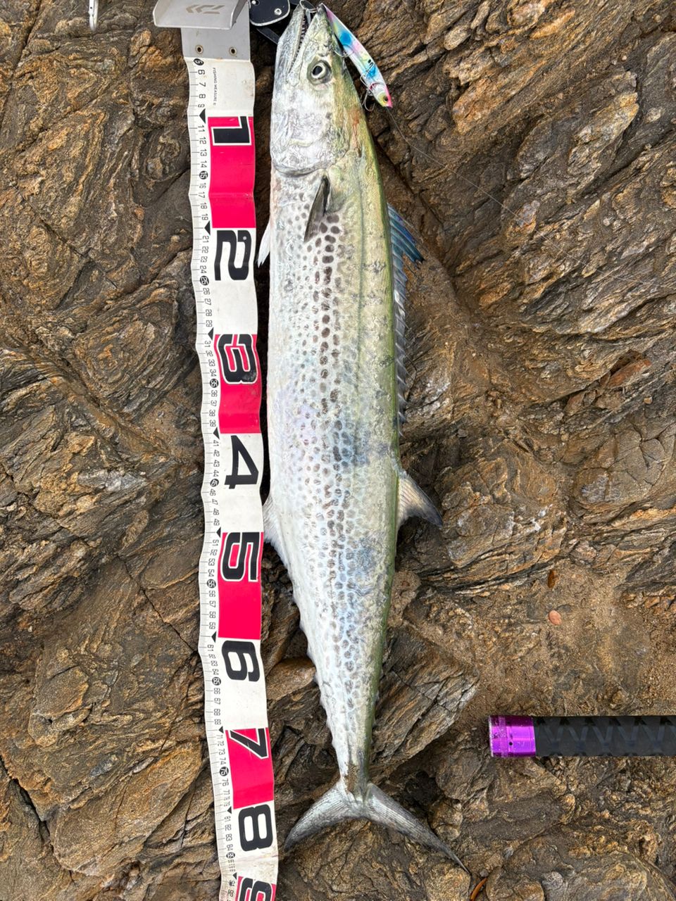 DAIWA 20オーバーゼア エア 109ML/Mの最安値・インプレ・釣果 | 本音の