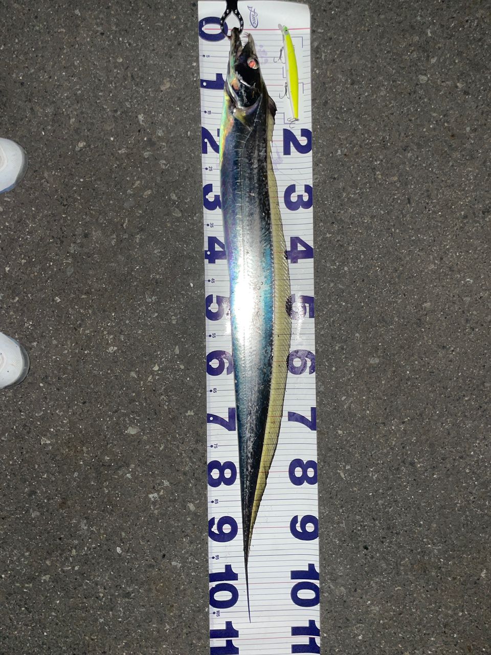 SHIMANO 18ディアルーナ S96MLの最安値・インプレ・釣果 | 本音の