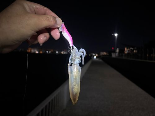 千葉港中央埠頭