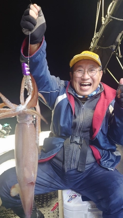 スルメイカの釣果