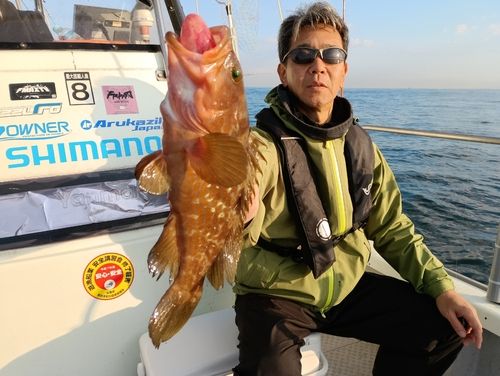 キジハタの釣果