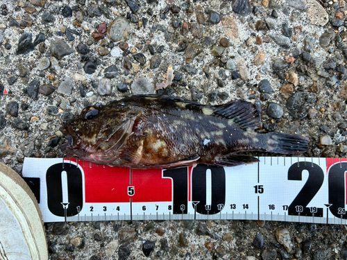 若洲海浜公園海釣り施設